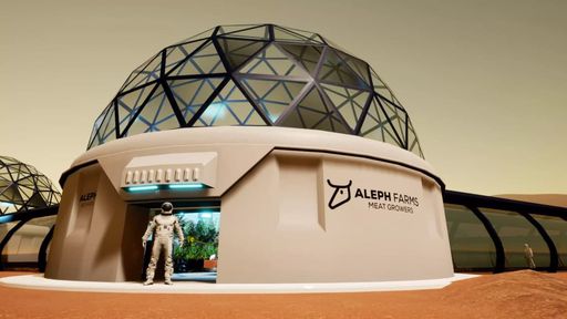 Empresa de Israel quer produzir carne em escala industrial para astronautas