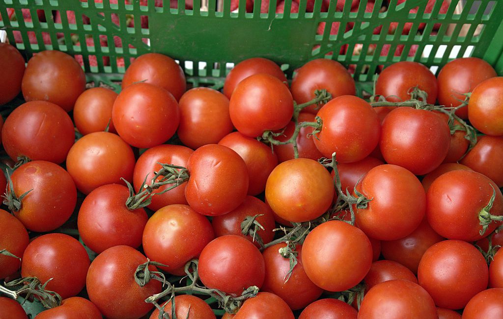 Substância que dá a cor avermelhada do tomate, o licopeno, é produzida de maneira biossintética (Fonte: Antonio Jiménez Alonso/ Free Images)