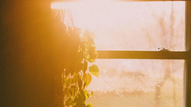 Zach Reiner/Unsplash