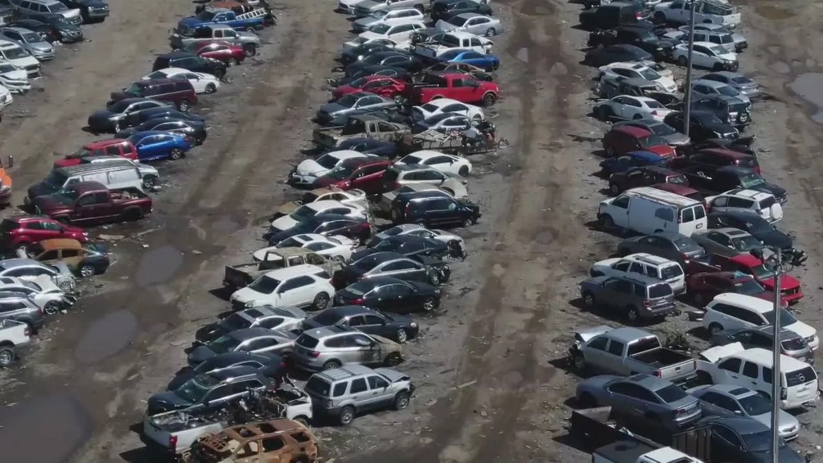 Mistério: carros "somem" de pátio e geram prejuízo milionário