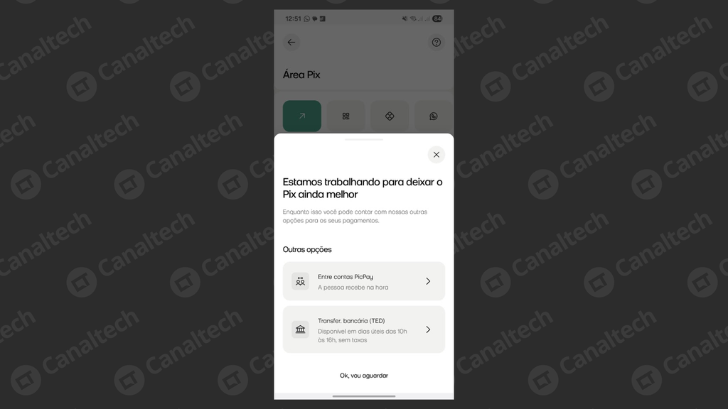 App do PicPay exibe notificação que impede acesso à área Pix (Imagem: Captura de tela/Bruno De Blasi/Canaltech)