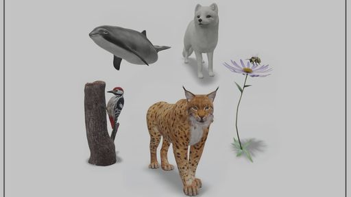 Animais 3D do Google agora incluem mais 5 espécies ameaçadas; saiba como ver