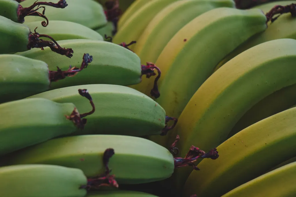 Banana é uma opção de fruta rica em proteínas e pode ser uma boa escolha para quem faz atividade física (Imagem: Subvertivo _lab/Unsplash)