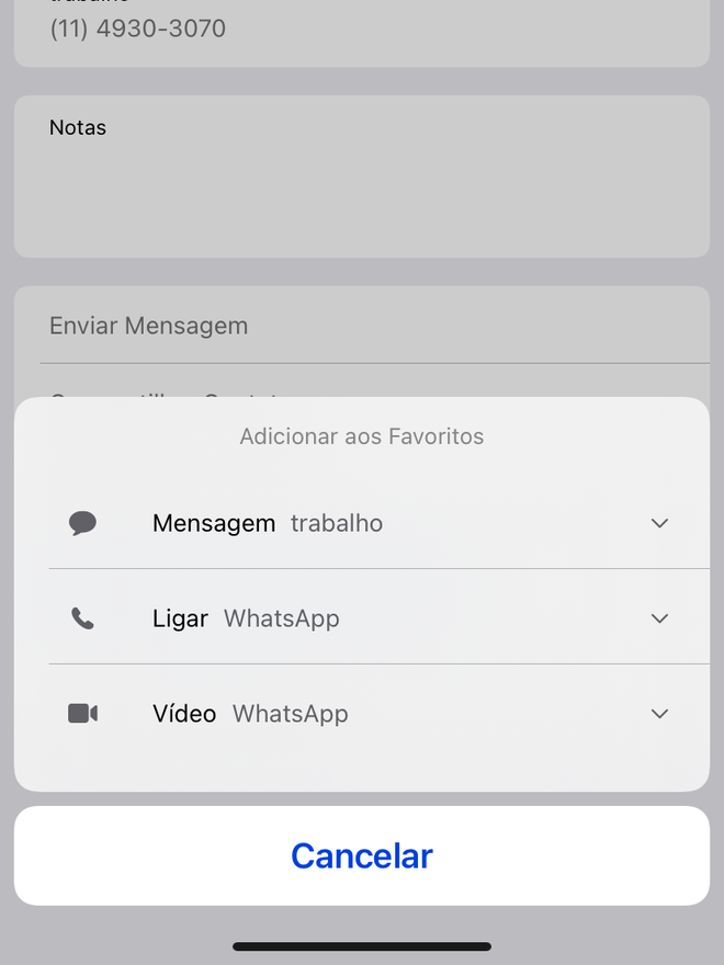 Selecione qual forma de contato deseja favoritar. Captura de tela: Lucas Wetten (Canaltech)