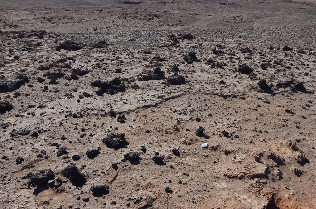 O Deserto do Atacama é inóspito e árido, então qualquer DNA encontrado no local é uma surpresa — mais ainda quando vem de um organismo desconhecido (Imagem: Peter Schultz/Brown University)