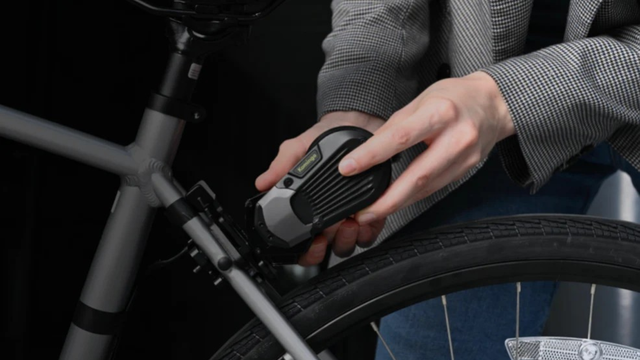 Kamingo/Divulgação