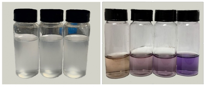 Brasileiros usam cana-de-açúcar para limpar água (Imagem:Leal et al, 2023/Pure and Applied Chemistry)