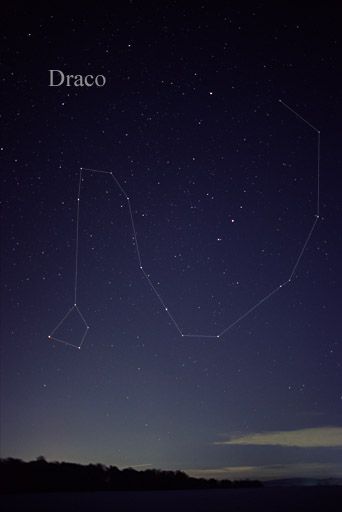 constelação Draco
