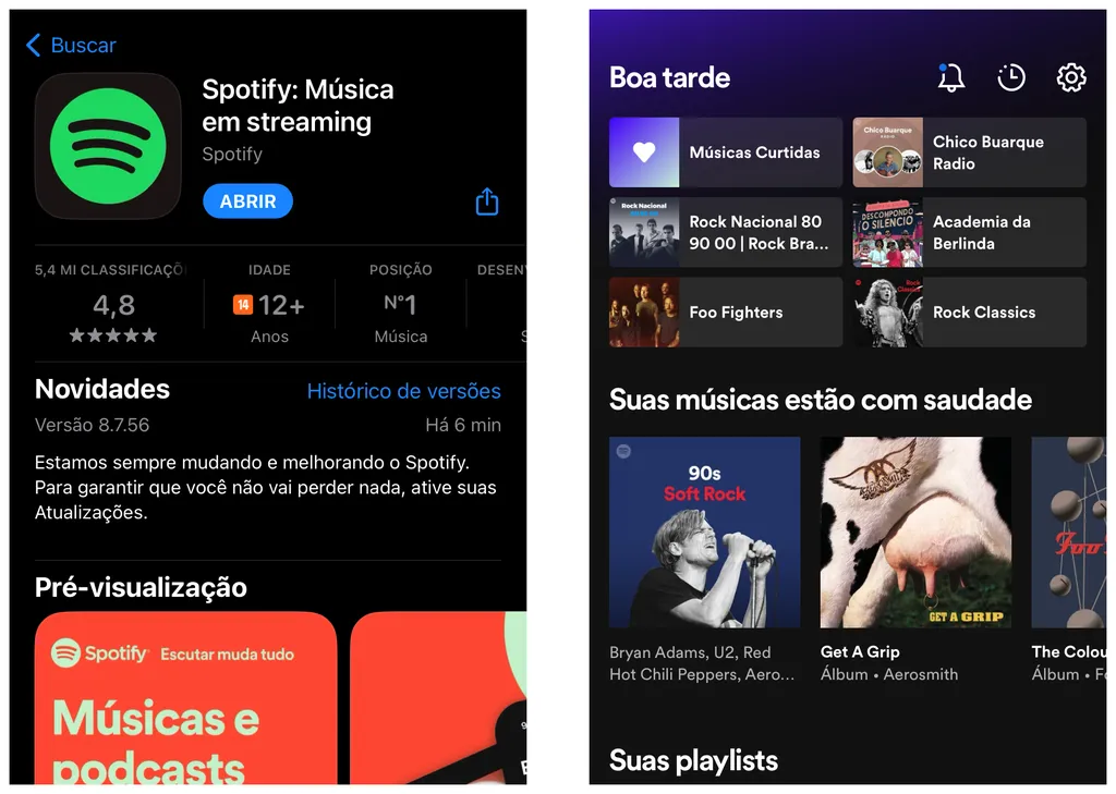 Baixe ou acesse o Spotify no seu dispositivo (Captura de tela: Thiago Furquim/Canaltech)