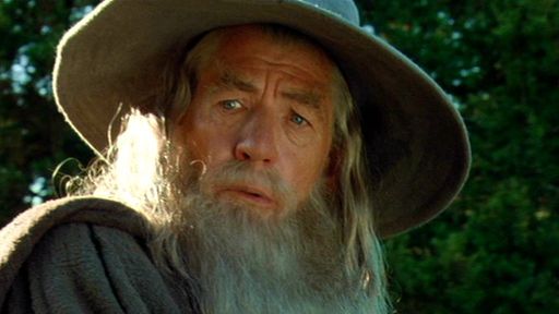 Ian Mckellen recebeu oferta de US$ 1,5 mi para realizar casamento como Gandalf