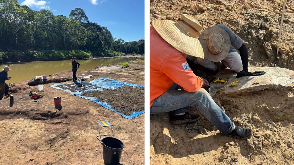 Pesquisadores investigando fósseis