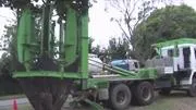 Este caminhão faz transplantes de árvores inteiras