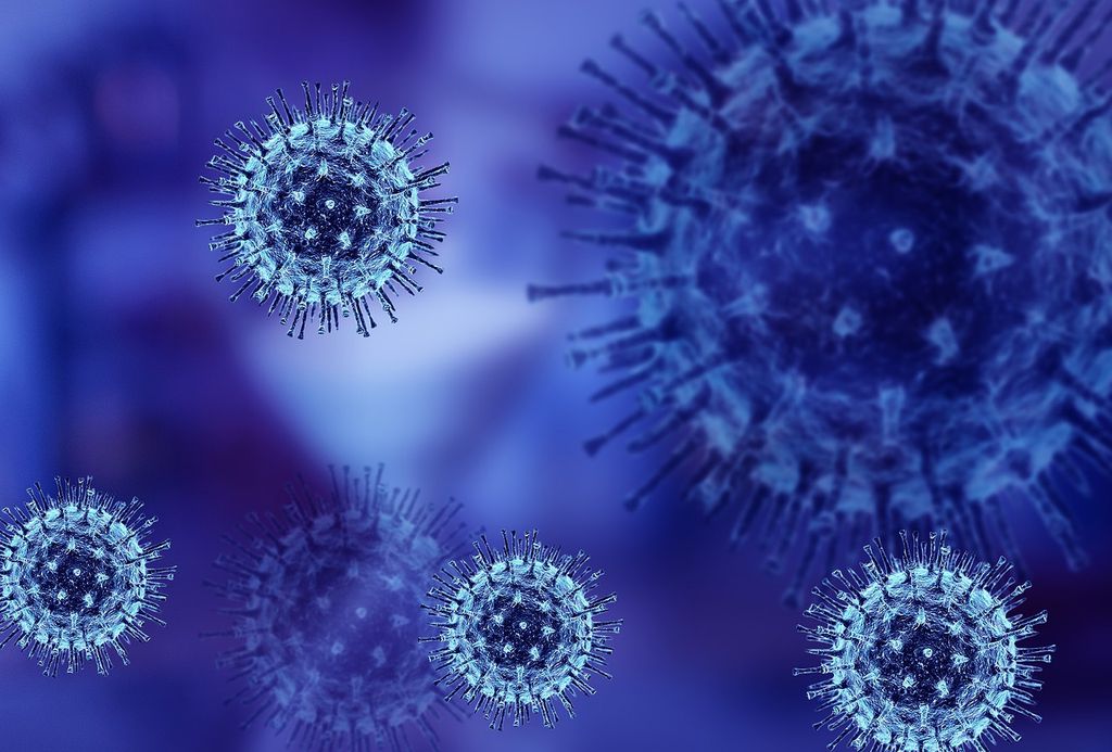Vacina contra a COVID-19 foca nas espículas do coronavírus (Imagem: Reprodução/ Fernando Zhiminaicela/ Pixabay )