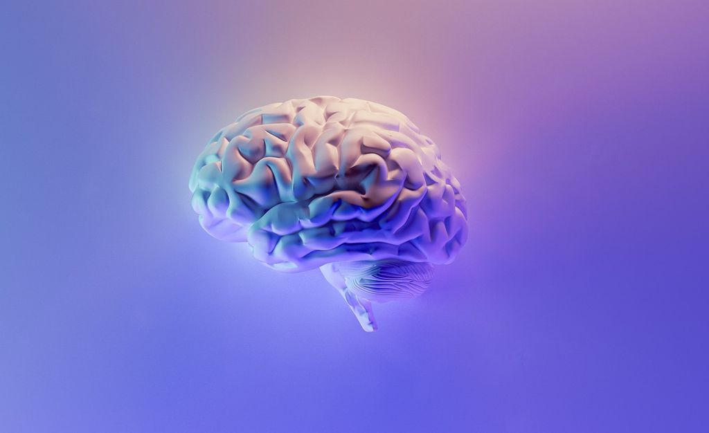 Autismo altera a substância branca do cérebro com o passar do tempo, sugere estudo da Yale University (Imagem: Fakurian Design/Unsplash)