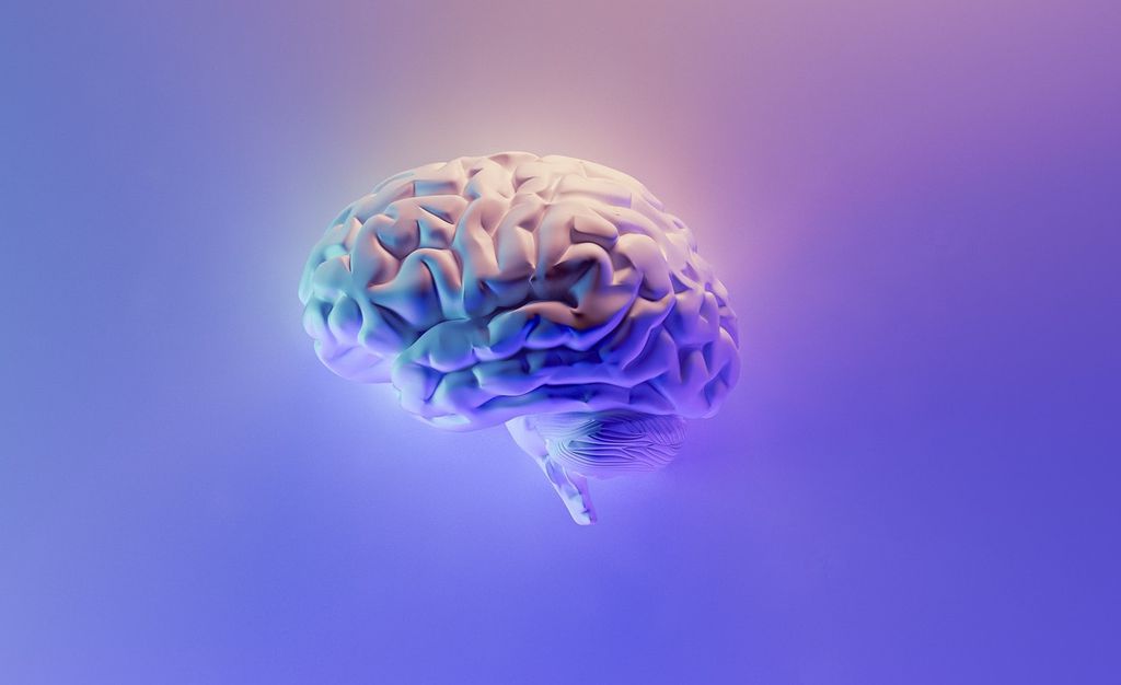 Manter o cérebro de porco em funcionamento fora do corpo pode ajudar em futuros estudos da neurociência (Imagem: Fakurian Design/Unsplash)