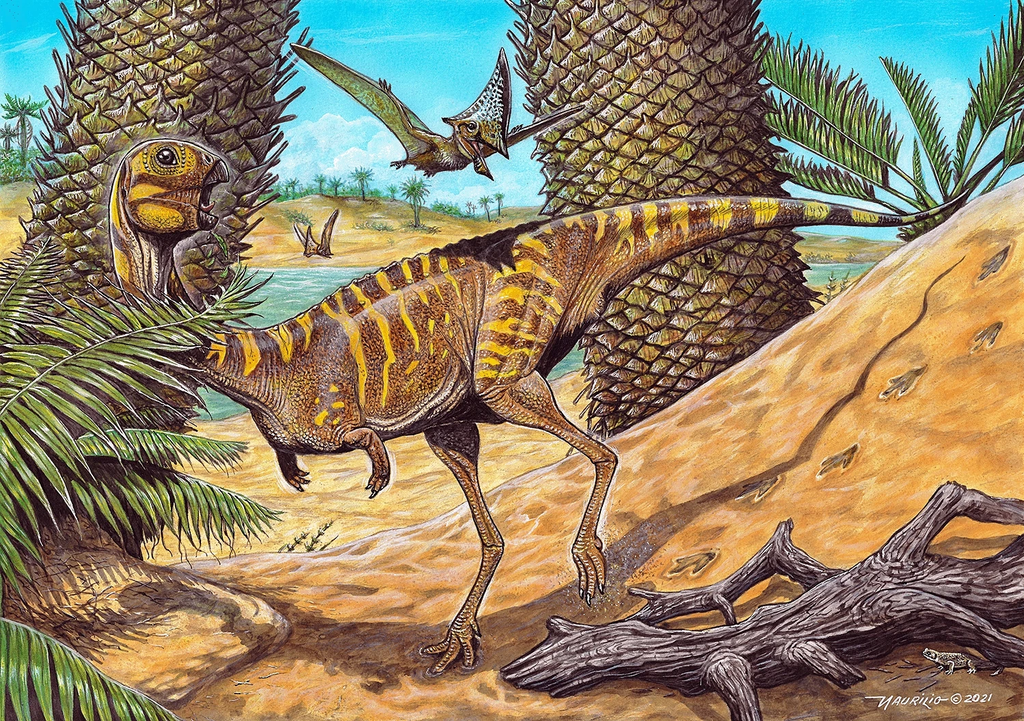 Espécie de dinossauro banguela é descoberta no Brasil