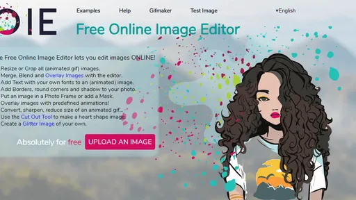 Como usar o Online Image Editor para editar fotos de graça
