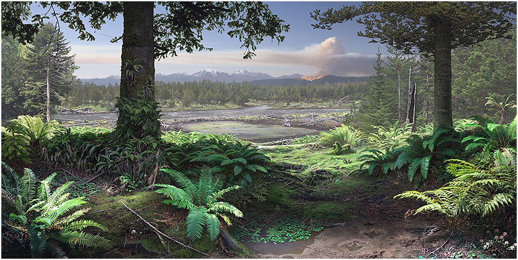 Ilustração baseada nos achados dos cientistas sobre a flora da Austrália na época em que ficava no círculo polar antártico, no Cretáceo (Imagem: Korasidis, Wagstaff/Robert Nicholls/Alcheringa)