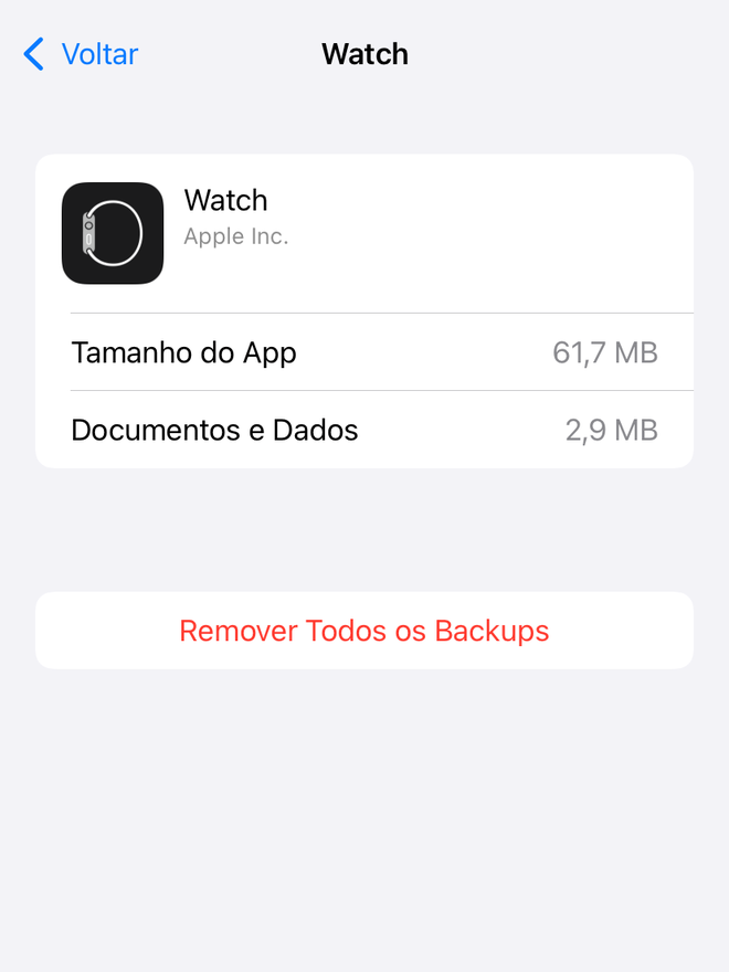 Verifique o backup do Apple Watch no iPhone - Captura de tela: Thiago Furquim (Canaltech)