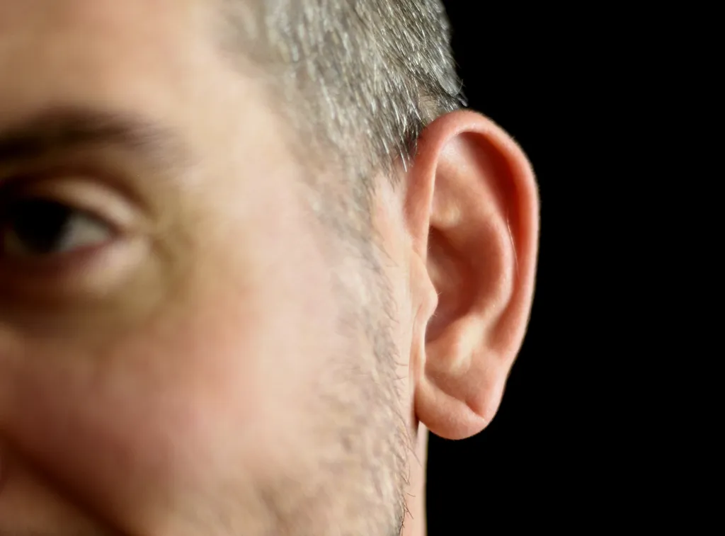 Entre as partes do corpo que nunca param de crescer, a orelha é destaque: o nariz também recusa a parar de aumentar suas proporções (Imagem: twenty20photos/envato)