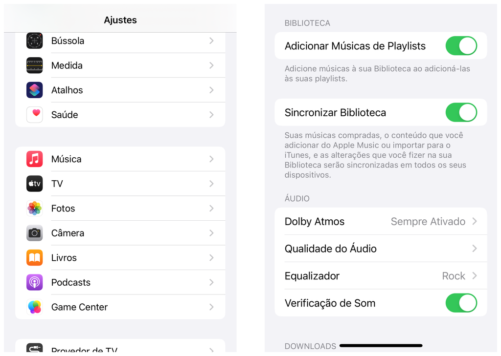 Ative a sincronização da biblioteca nos ajustes do app Música (Captura de tela: Thiago Furquim)