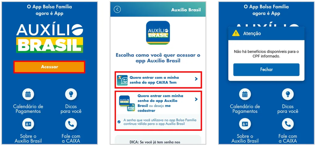 Veja como consultar o Auxílio Brasil usando o app (Captura de tela: Matheus Bigogno)