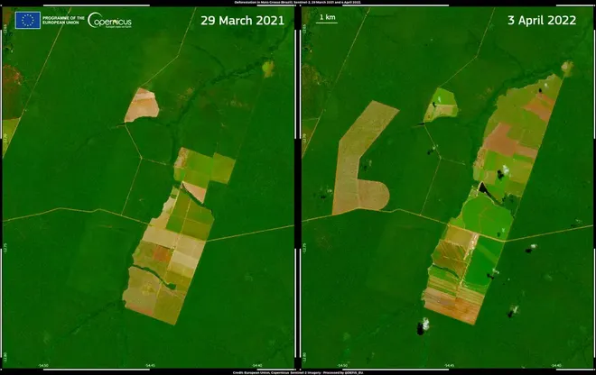 Evolução do desmatamento no estado do Mato Grosso, enter março e abril deste ano (Imagem: Reprodução/EU/Copernicus Sentinel-2)