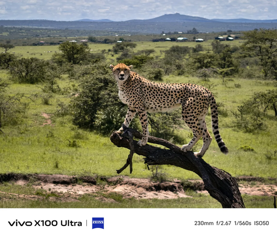 Vivo X100 Ultra amostras de fotos