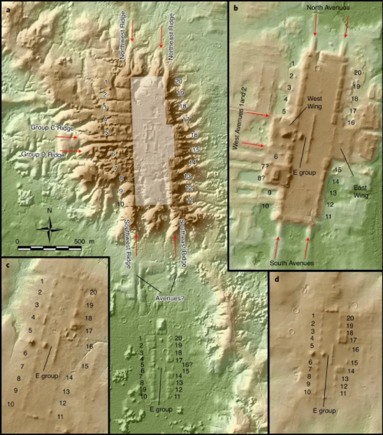 As figuras "a" e "c" revelam as estruturas da cidade olmeca San Lorenza, enquanto "b" e "d" são do complexo maia Aguada Fénix (Imagem: Reprodução/Takeshi Inomata et al.)