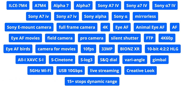 Sony colocou as tags de forma não intencional (Imagem: Captura de tela/PetaPixel)