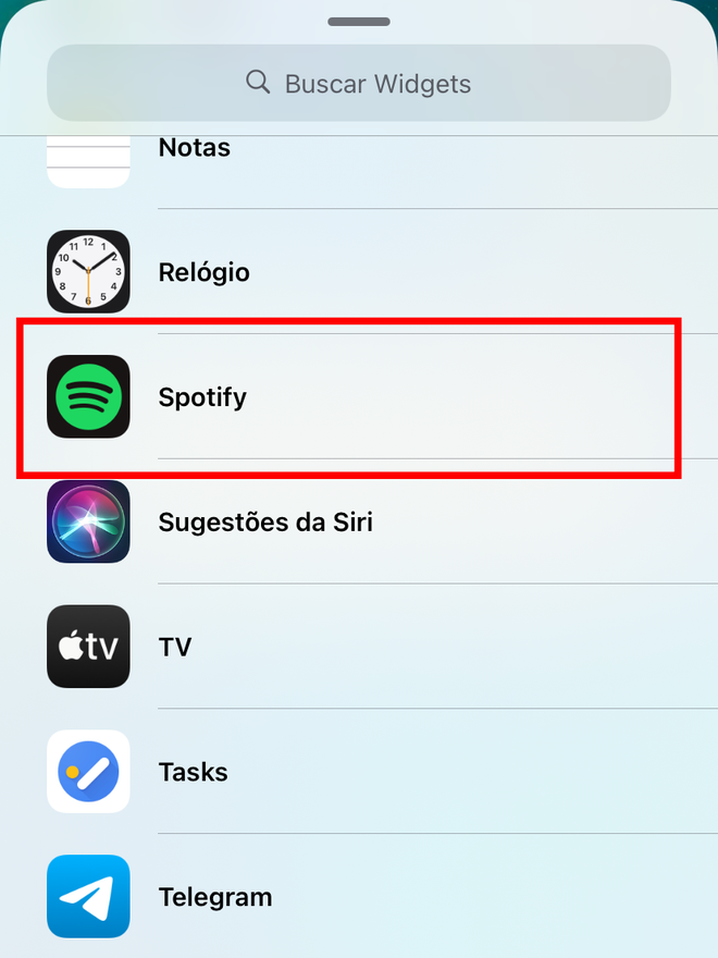 Procure por Spotify na lista de apps disponíveis. Captura de tela: Lucas Wetten (Canaltech)