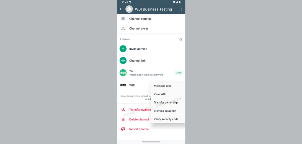 Novidade no WhatsApp Beta para Android: Transferência de propriedade de ...