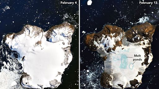Imagens impressionantes mostram rápido derretimento de gelo na Antártida