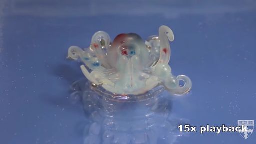Cientistas desenvolvem polvo robô movido a flatulências