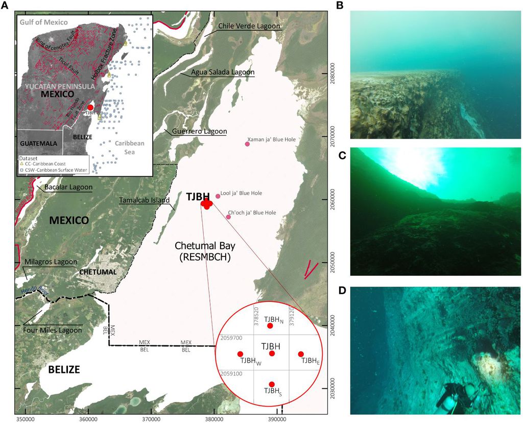 Algumas das descobertas sobre o Buraco Azul de Taam Ja': diferenças na salinidade e cavernas foram achadas na estrutura (Imagem: Alcérreca-Huerta et al./Frontiers in Marine Science)
