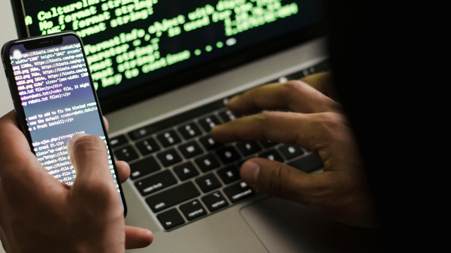 Sora Shimazaki/Pexels