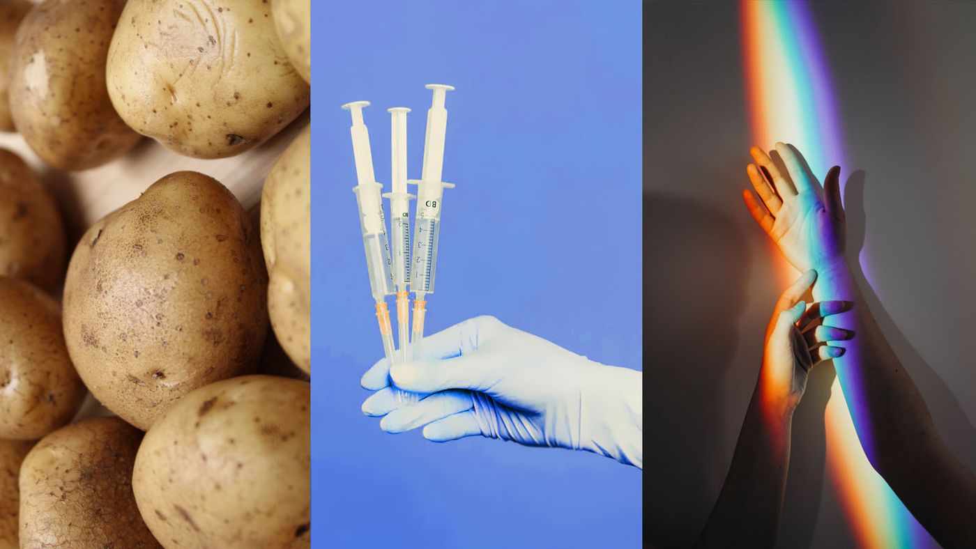 Giro da Saúde: batatas com gene humano; terceira dose no BR; existe DNA gay? - Vimarsana News