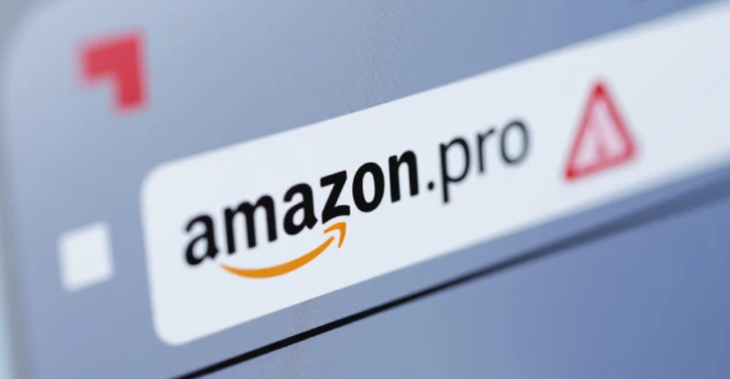 Preste sempre muita atenção no domínio do site: