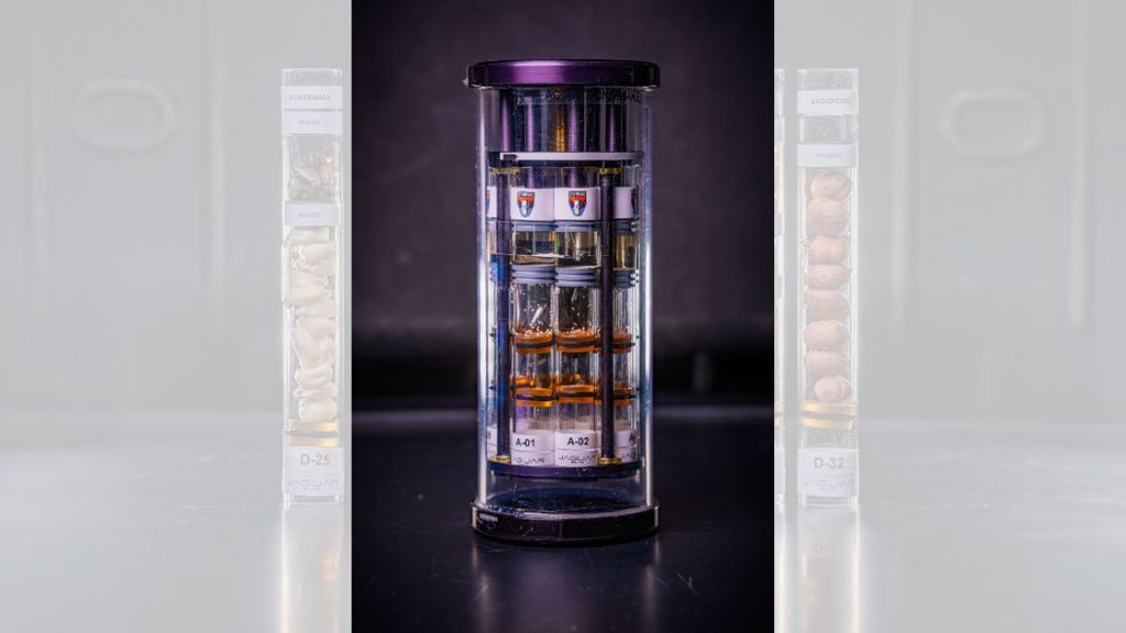 Sementes enviadas ao espaço