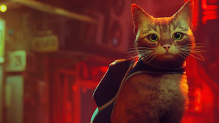 Stray, Jogo protagonizado por gato é lançado para PS4, PS5 e PC