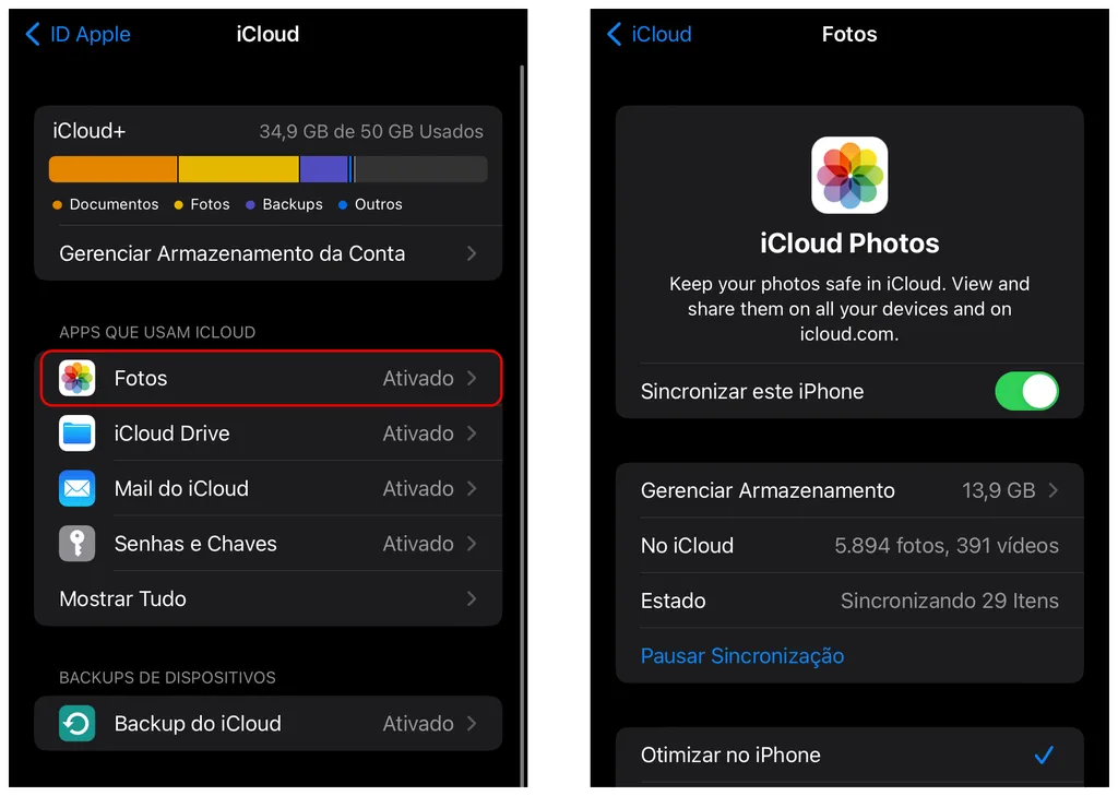 Transfira as fotos para outro iPhone pelo Fotos do iCloud (Captura de tela: Thiago Furquim/Canaltech)