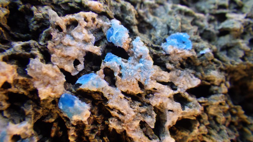 Uma plasticrosta encontrada na Itália, em 2019 — esse tipo de poluição plástica pode levar aos plastiglomerados, rochas feitas com o material e que são sinal claro do ser humano na Terra (Imagem: Hcirllej/CC-BY-4.0)