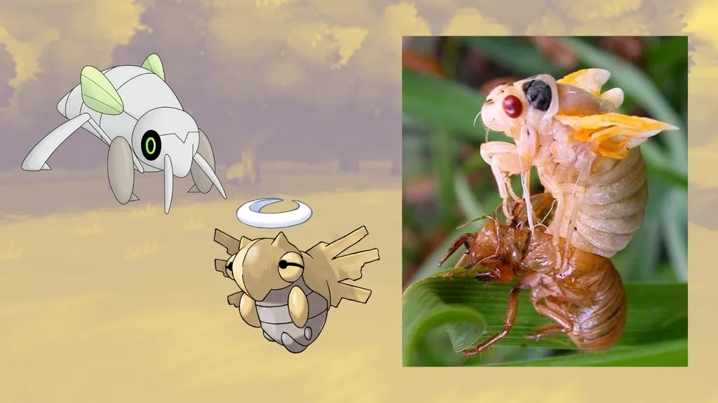 Pokémons são batizados com nomes bizarros e comparado com celebridades