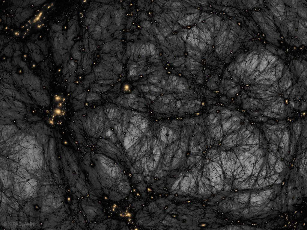 Um possível mapa da matéria escura (Imagem: Reprodução/Tom Abel & Ralf Kaehler/AMNH)