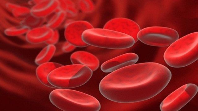 Startup lança dispositivo caseiro para pacientes fazerem exames de sangue 