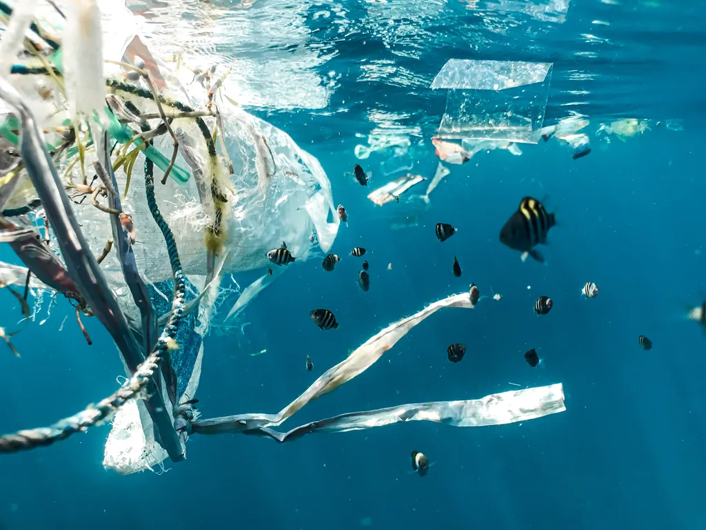 Peixe-robô pode ser a solução para controlar os microplásticos nos oceanos, aponta estudo (Imagem: Unsplash/Naja Bertolt Jensen)