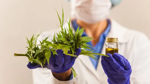 Estresse na pandemia | Pesquisa investigará os efeitos da cannabis em médicos