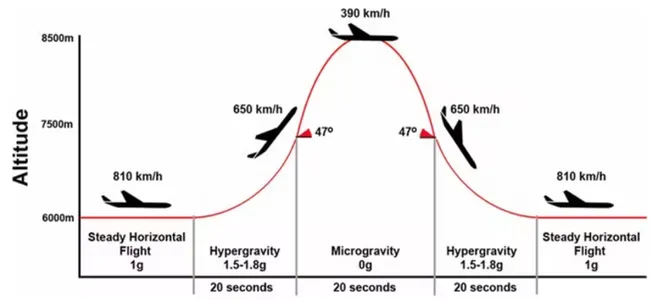 Esquema da trajetória de um avião durante um voo parabólico (Imagem: Reprodução/Van Ombergen et al., Scientific Reports (2017)