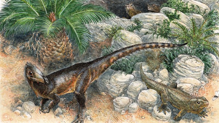 A dinossauro Rosa, uma história inédita