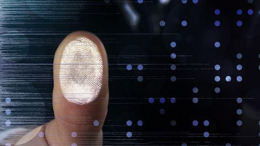 Brasileiros preferem autenticar transações com impressão digital, diz pesquisa